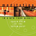 Meditation in a new york minute